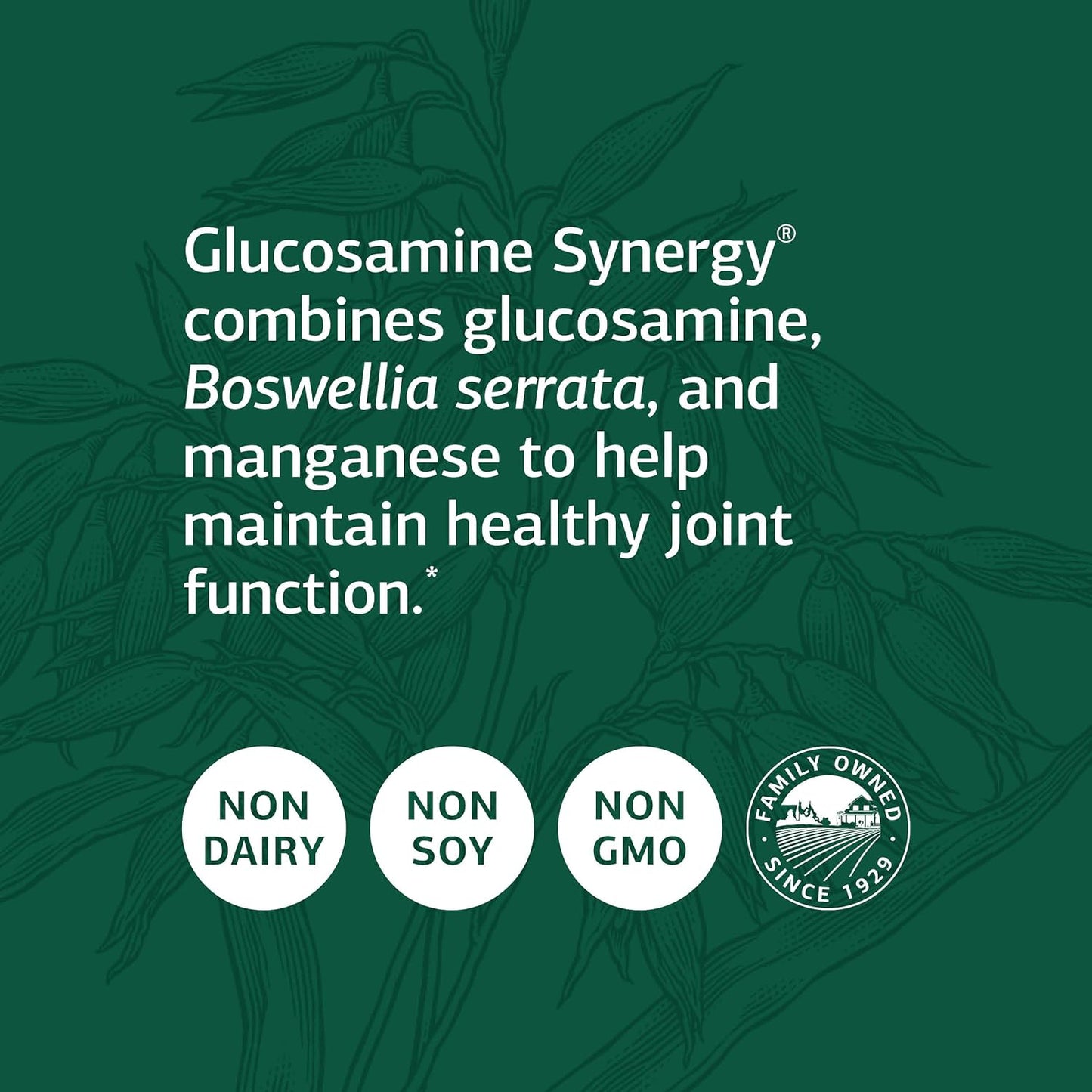 Standard Process Glucosamine Synergy | Whole Food RNA Supplement and Joint Support with Cyanocobalamin, Cholecalciferol, Shiitake, Manganese, Rice Bran, Organic Carrots | 90 Capsules
