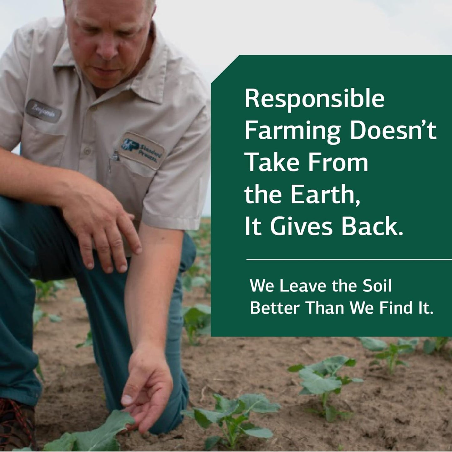 Standard Process Ligaplex I - Whole Food Supplement, Manganese Supplement, Bone Health and Bone Strength, Joint Support with Phosphorus, Shitake, Calcium Lactate, Beet Root and More | 150 Capsules