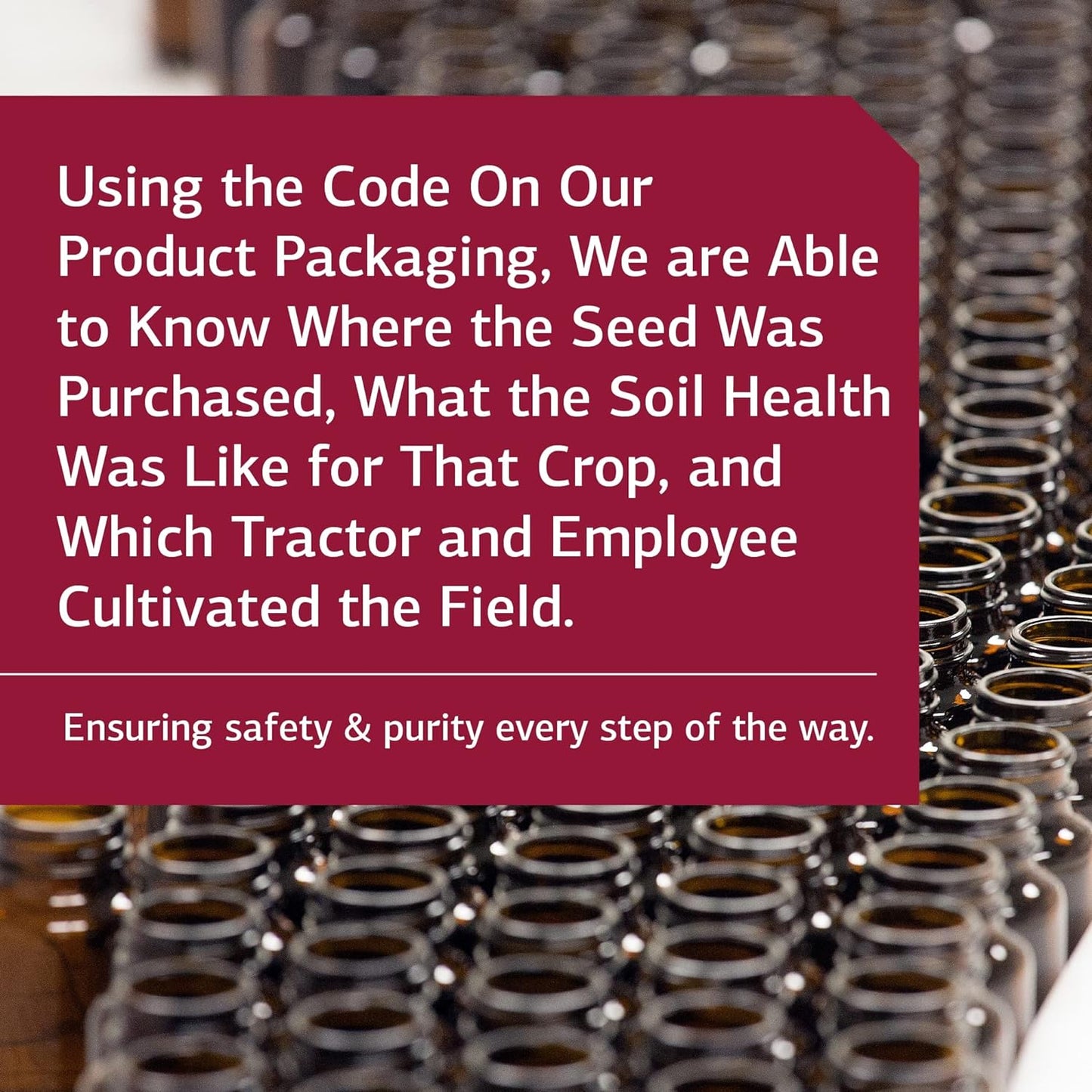 Standard Process A-C Carbamide, 270 Capsules