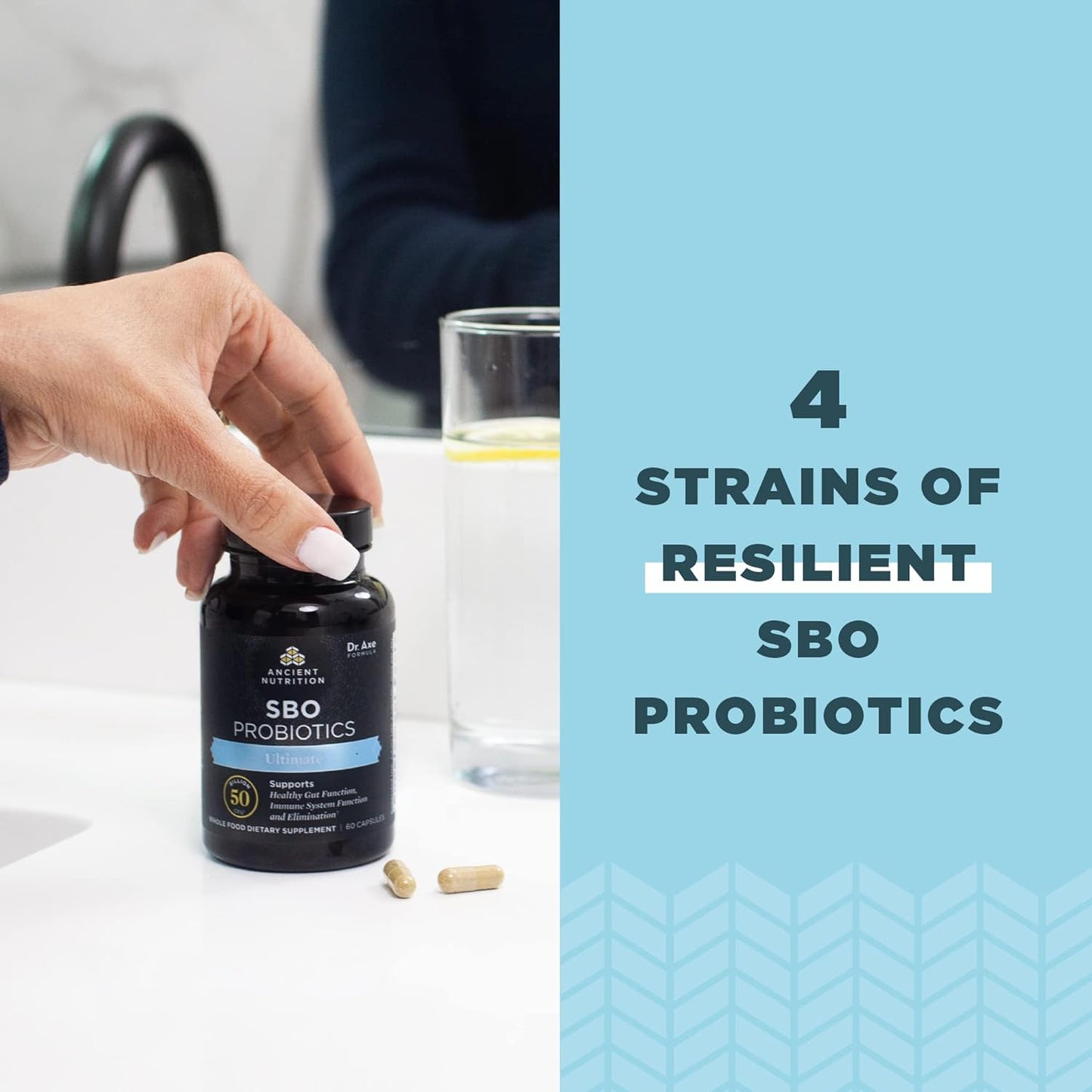 Ancient Nutrition SBO Probiotics Ultimate | Capsules (60 Capsules)