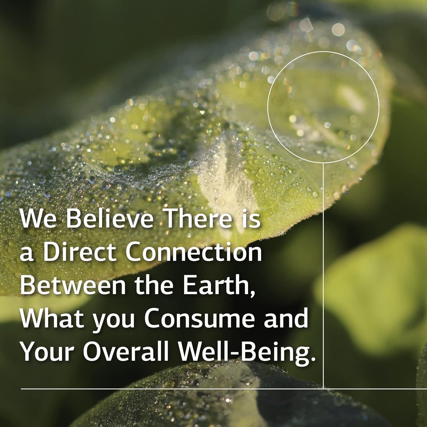 Standard Process A-F Betafood | Gluten-Free Liver Support, Cholesterol Metabolism, and Gallbladder Support Supplement with Vitamin A, Iodine, Vitamin B6 | 360 Tablets