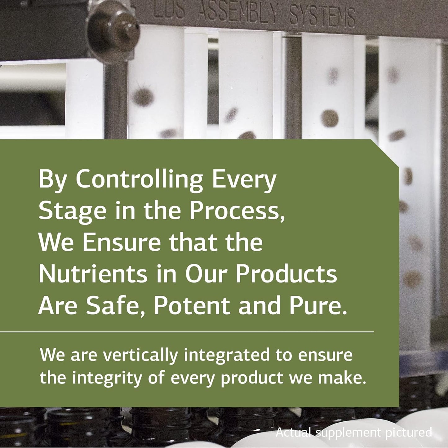 Standard Process Zinc Chelate™, 180 Tablets