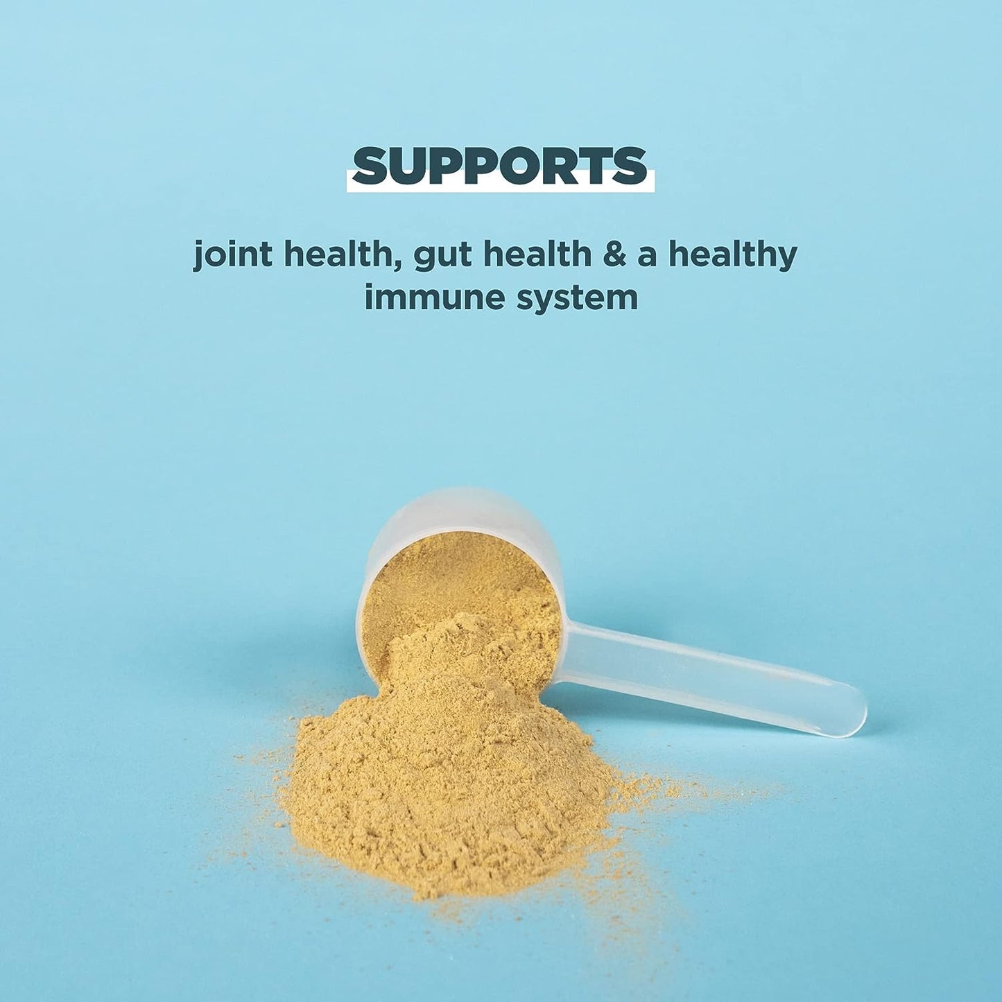 Ancient Nutrition Bone Broth Protein | Powder Vanilla (40 Servings)