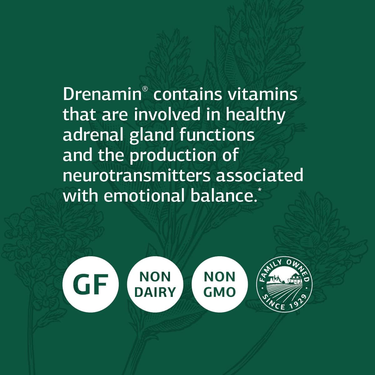 Standard Process Drenamin | Supports Immune System Function, Energy Production, and Balanced Mood | 360 Tablets