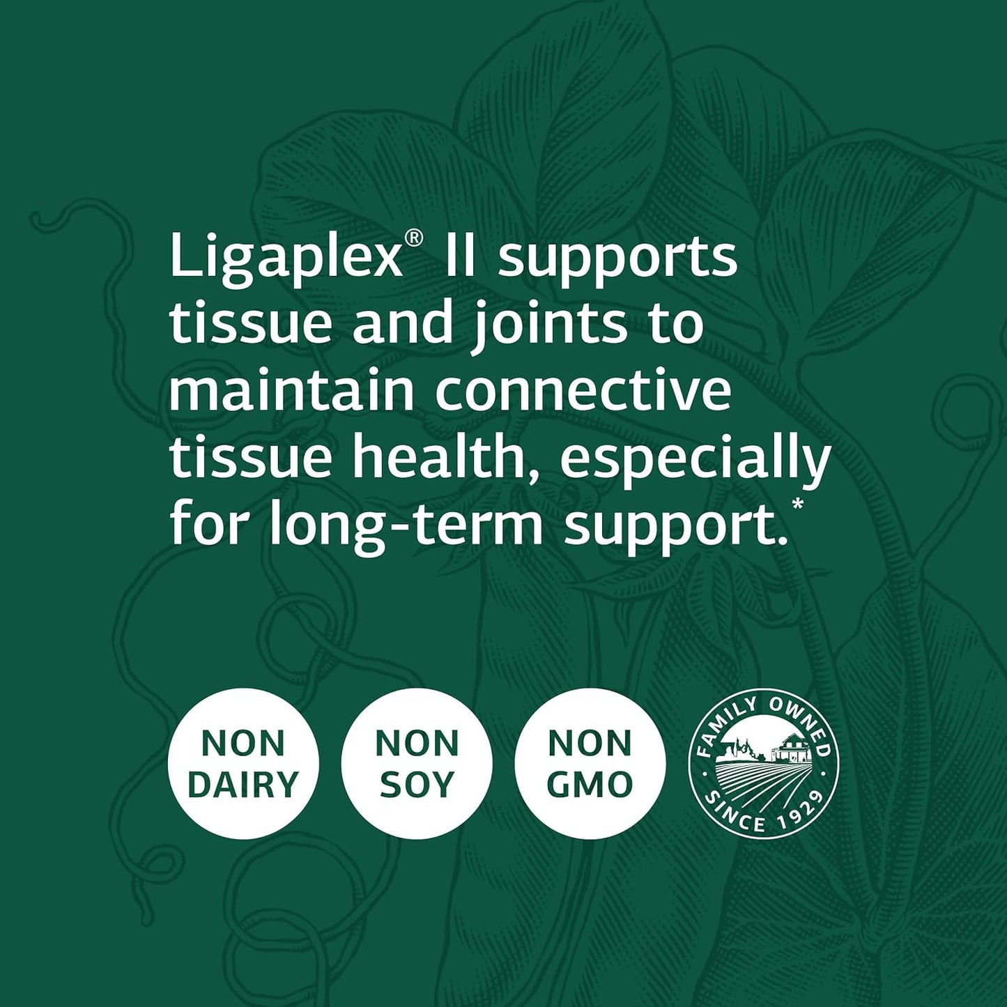 Standard Process Ligaplex II - Joint & Bone Support Supplement - Manganese Supplement with Vitamin B12, Vitamin A & Vitamin D - Skeletal System & Joint Support Supplement | 150 Capsules